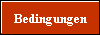 Bedingungen