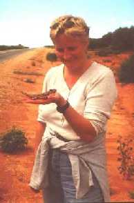 Gast mit Dornenteufel